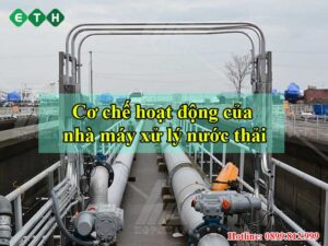 Cơ chế hoạt động của nhà máy xử lý nước thải