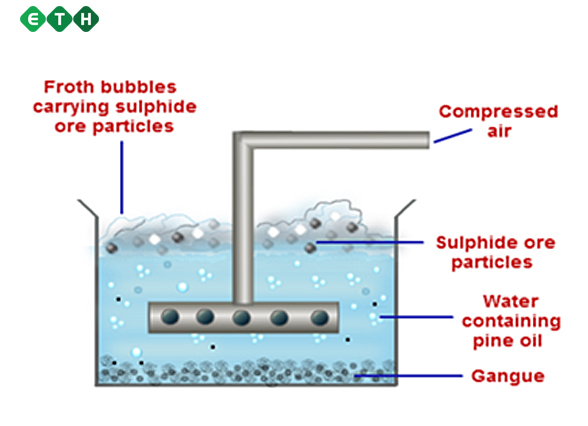 Bể tuyển nổi và các phương pháp tuyển nổi ứng dụng trong xử lý nước thải