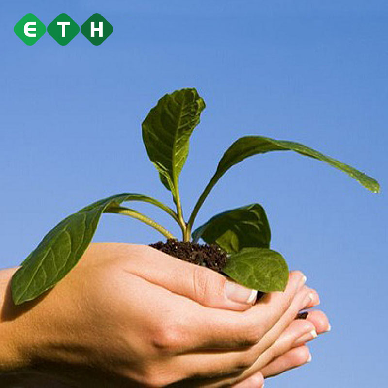 Lập đề án bảo vệ môi trường