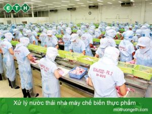 Hệ thống xử lý nước thải trong nhà máy chế biến thực phẩm - ETH