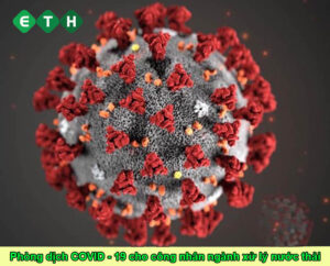 Hướng dẫn phòng dịch COVID - 19 cho công nhân trong ngành xử lý nước thải