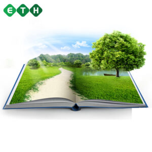 Lập kế hoạch bảo vệ môi trường - thủ tục nhanh gọn