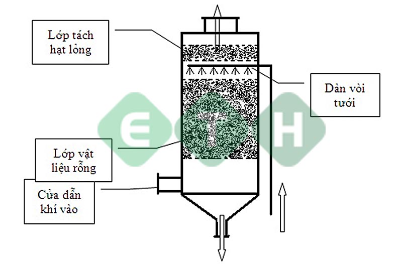 Hấp thụ: Khám Phá Các Khái Niệm và Ứng Dụng Trong Cuộc Sống