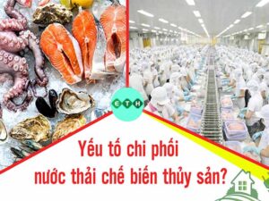 Yếu tố chi phối đến nguồn nước thải chế biến thủy sản