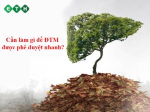 Doanh nghiệp cần làm gì để báo cáo ĐTM được phê duyệt nhanh?