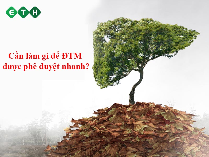 Doanh nghiệp cần làm gì để báo cáo ĐTM được phê duyệt nhanh? Doanh nghiệp cần làm gì để báo cáo ĐTM được phê duyệt nhanh?