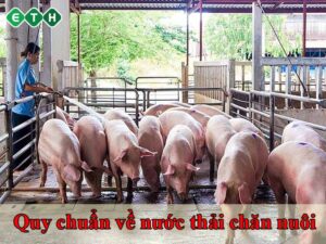 Quy chuẩn nước thải trong chăn nuôi