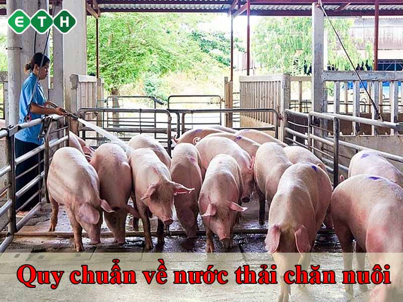 Quy chuẩn nước thải trong chăn nuôi Quy chuẩn nước thải trong chăn nuôi