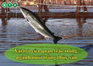 Vai trò của quan trắc trong ngành nuôi trồng thủy sản