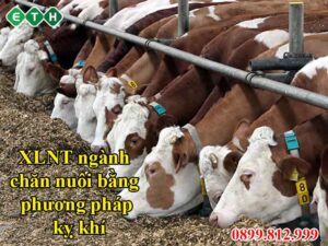 Xử lý nước thải ngành chăn nuôi bằng phương pháp kỵ khí