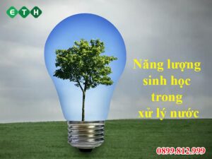 Tổng quan về năng lượng sinh học trong xử lý nước