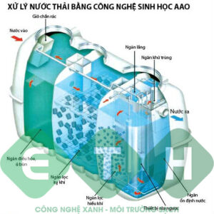quy trình xử lý nước thải bằng công nghệ sinh học