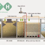 Hình ảnh bài viết: 4 Phương pháp xử lý chất thải chăn nuôi