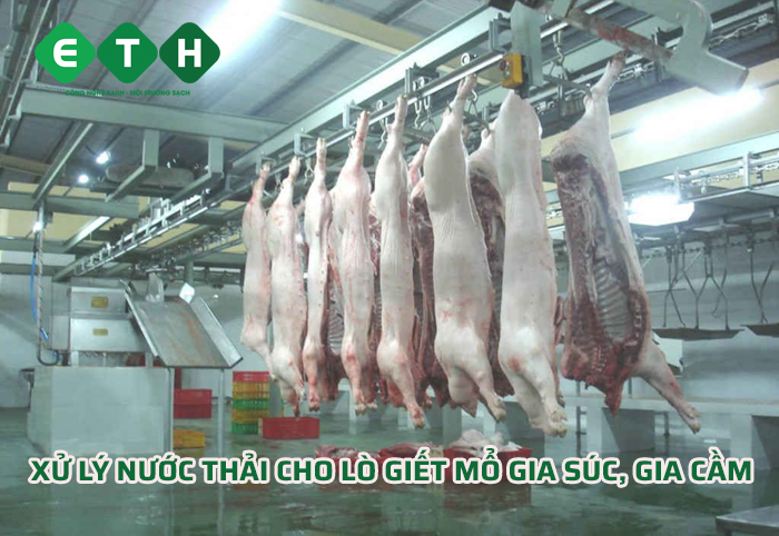 Xử lý nước thải lò giết mổ gia súc, gia cầm – Bắt buộc để vận hành hợp pháp và bền vững 1 xu ly nuoc mo gia suc
