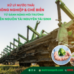 xử lý nước thải nông nghiệp và chế biến